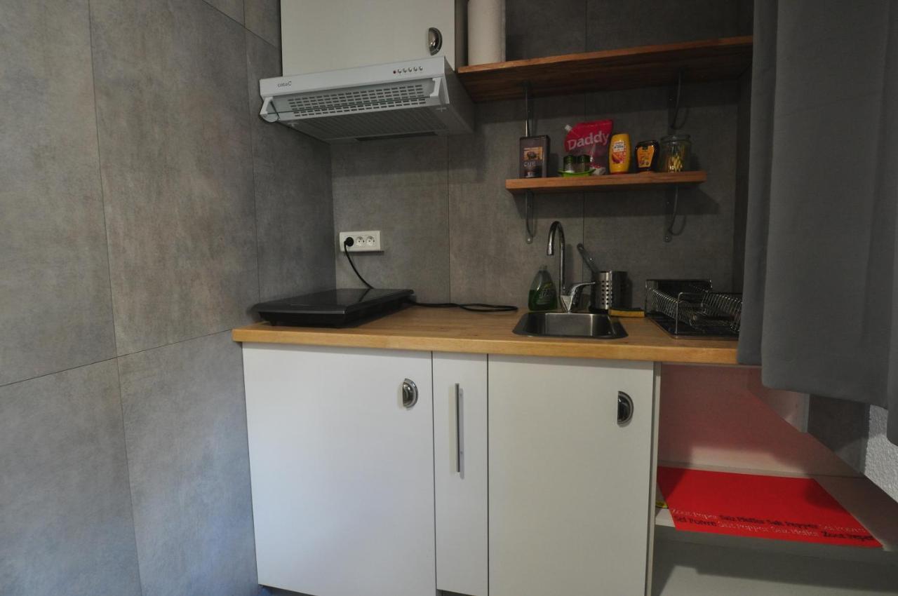Beaublache Residence Studios Meubles Grenoble Eksteriør billede