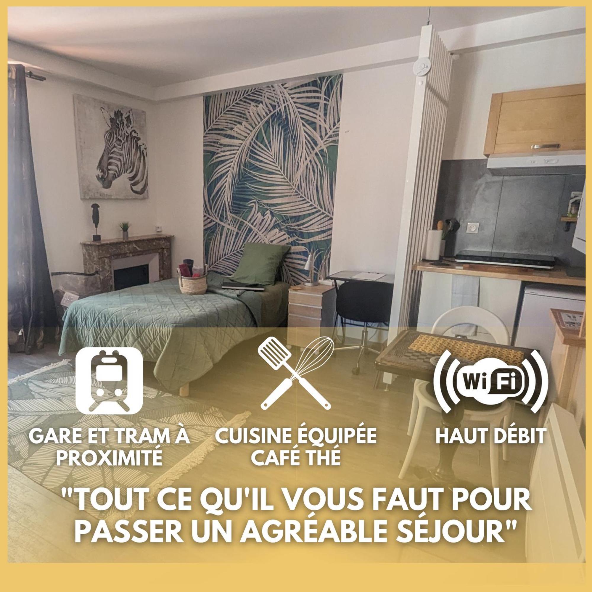 Beaublache Residence Studios Meubles Grenoble Eksteriør billede